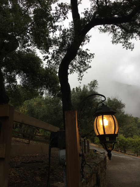 在一个有雾的秋天下午的马车灯。图片下载