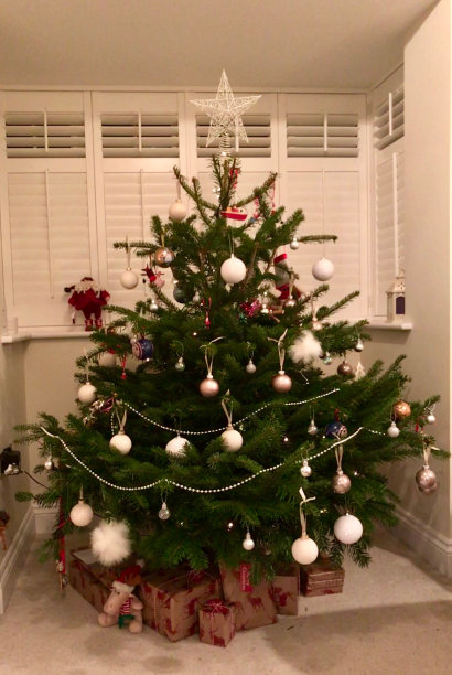 装饰绿色圣诞树下的礼物图片下载