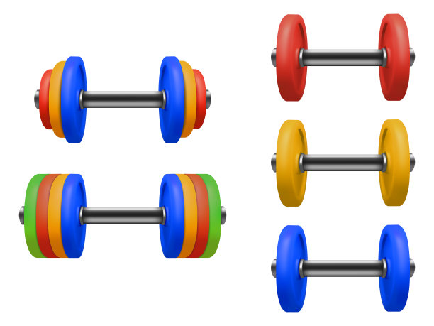 一套健身房哑铃隔离。现实的向量图片下载