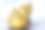 柚子照片素材ID：302862180