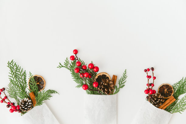 白色背景上的圣诞装饰图片下载