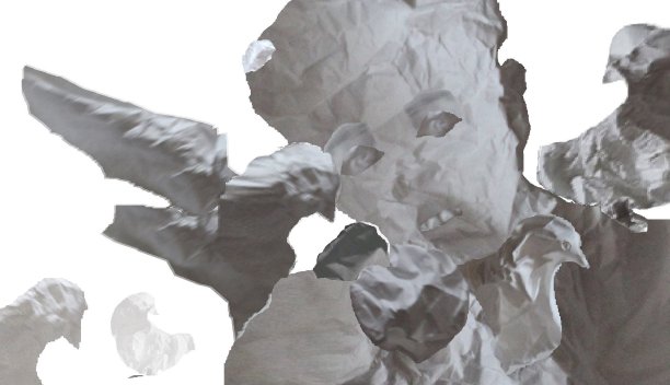 男孩和鸽子图片下载