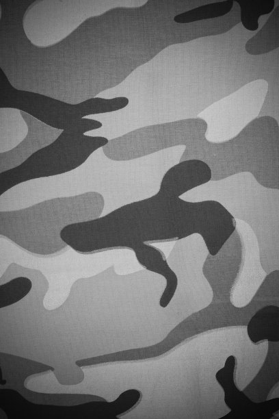 背景伪装纹理。图片下载