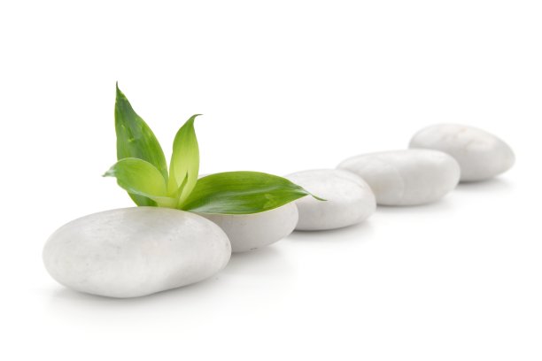 石头和竹子上的白色图片下载