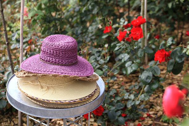 花园里有草帽图片下载