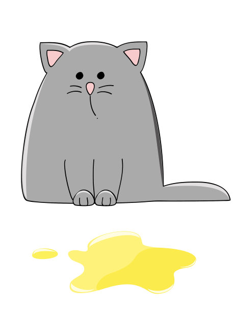 小猫,池图片下载