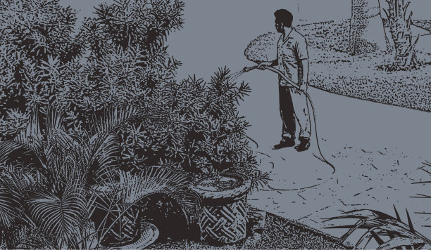 发现墨西哥。庭院设计师在玛雅里维埃拉的豪华旅游胜地浇水花园图片下载