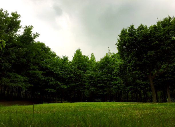 公园景观图片下载