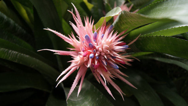 挪威的夏日大自然图片下载