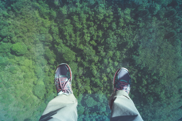 鸟瞰人们站在透明的玻璃上俯瞰绿色的森林，草木自然的心情图片下载