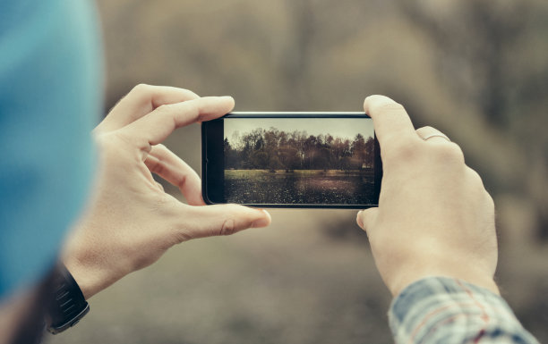 在公园里用智能手机的男人图片下载
