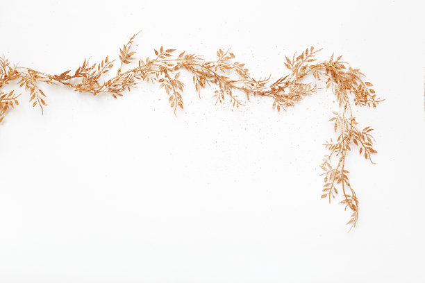 金色的圣诞植物，带有复制空间的花环图片下载