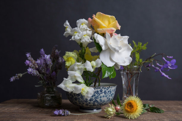 黛西的图片下载