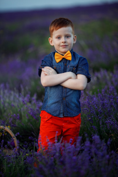 快乐的时尚男孩在薰衣草夏天的田野与手中的薰衣草花束在日落。图片下载