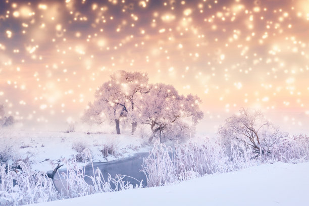 圣诞假期背景与雪花图片下载