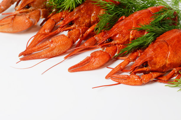 海鲜菜肴，红煮小龙虾。啤酒的零食。图片下载