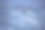 挪威海的野生虎鲸图片下载
