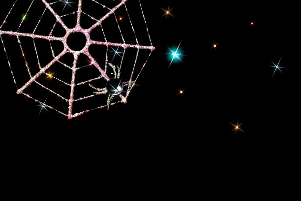 魔法圣诞贺卡的形象，冰冻的蜘蛛网装饰。图片下载