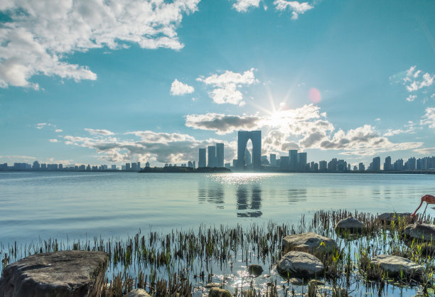 苏州市容鸟瞰图图片下载