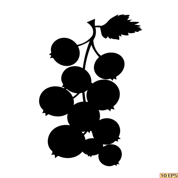 黑加仑子。平图标浆果。白色背景上孤立的黑色浆果的图标。黑加仑子特写镜头。矢量插图将装饰你的网站设计。图片下载