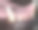 狗的牙齿。特写镜头图片下载
