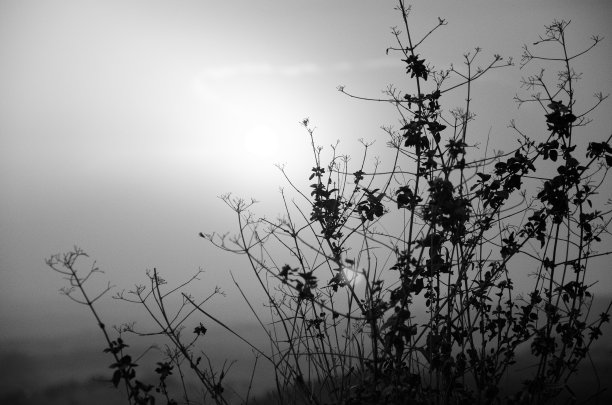 下午的对比图片下载