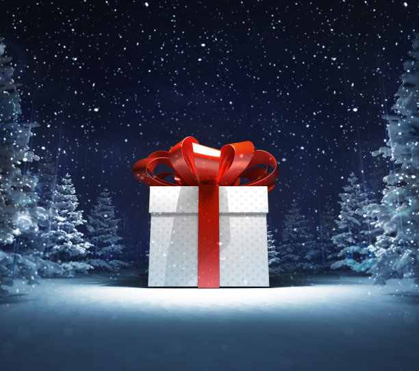 包裹的礼盒在冬天的雪林图片下载