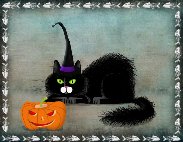 黑色毛茸茸的猫躺在旁边的杰克O灯笼图片下载