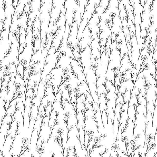 无缝花卉矢量图案，亚麻植物野生花孤立在白色背景，手绘素描插图，线条艺术纹理设计包装化妆品，天然医药，问候图片下载