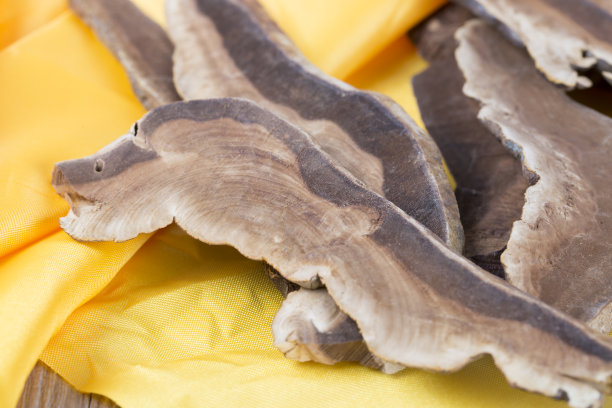 加诺德马清醒素材图片