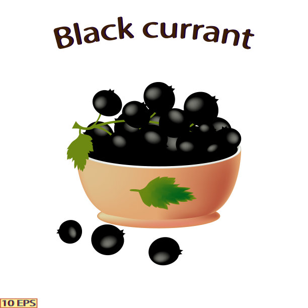 成熟的浆果。黑加仑子。一碗孤立在白色背景上的黑浆果。黑加仑子特写镜头。向量。图片下载