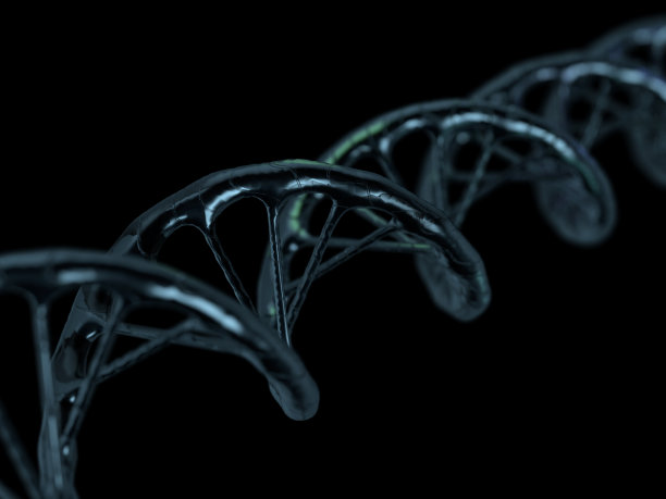 DNA模型3D渲染数字插画素材图片