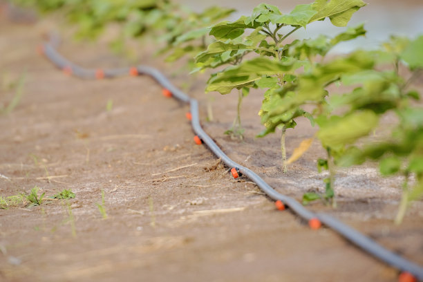 滴灌系统图片下载