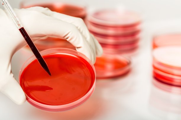 癌症细胞。图片下载