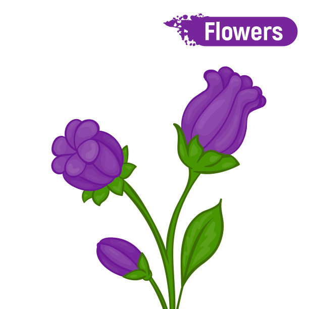紫色花朵的彩色素描图片下载