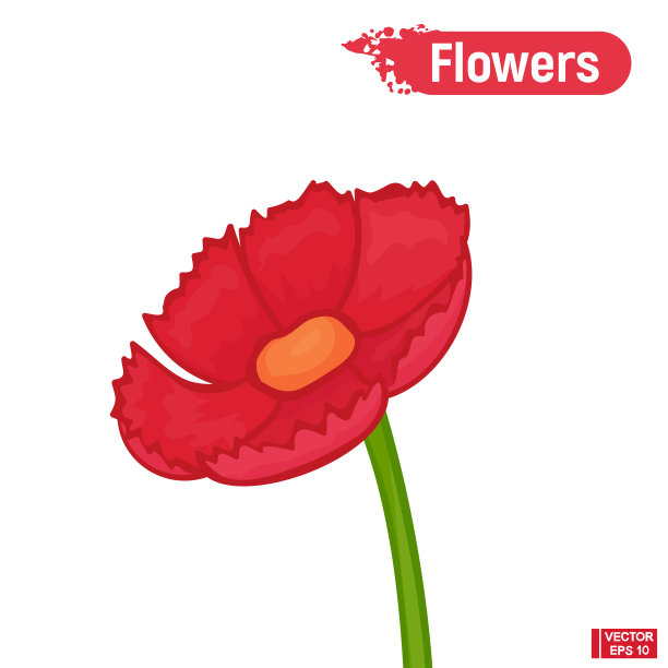 盛开的粉红色的花。图片下载