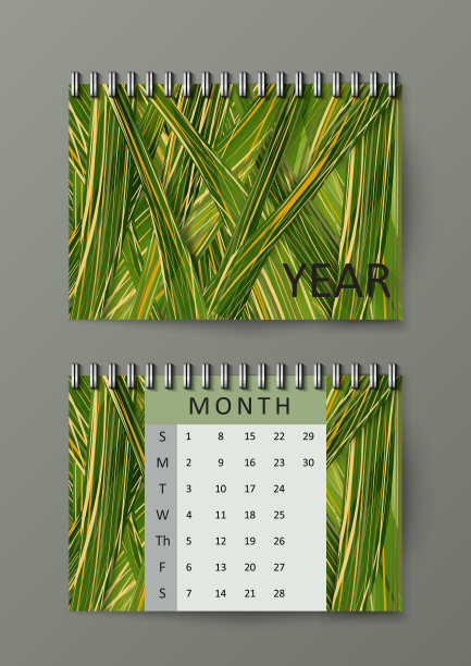 摘要外来热带叶背景。带有抽象背景的宣传册模板。Eps10矢量插图。图片下载