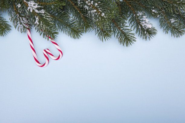 圣诞和新年。蓝色背景下的树枝。Copy-space。图片下载