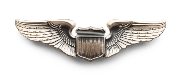 军事飞行员的翅膀图片下载