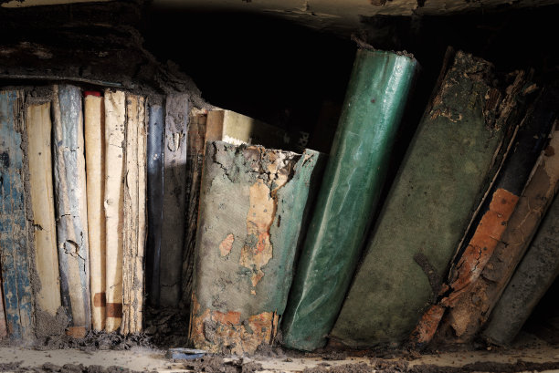 关闭损坏的书吃白蚁图片下载