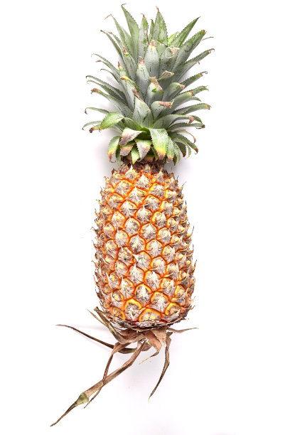 白色背景上的菠萝图片下载