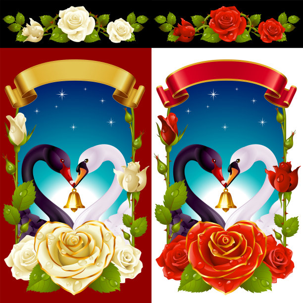 天鹅与玫瑰套装图片下载