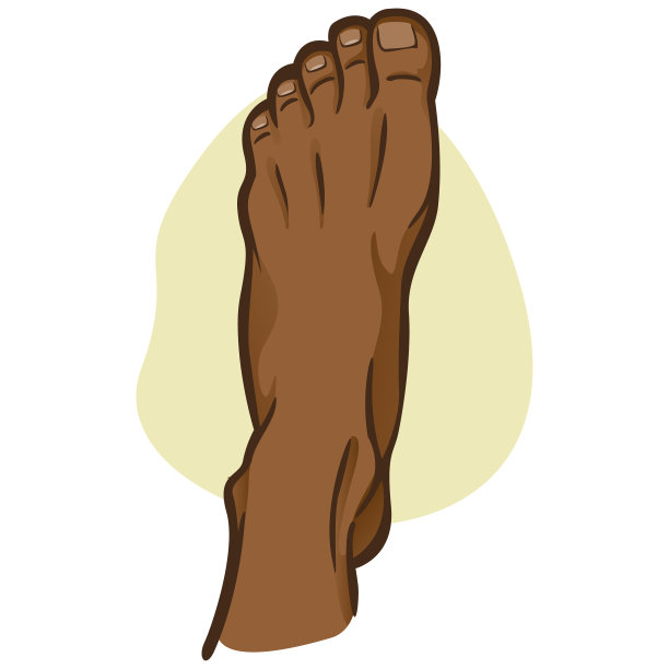 插图人，人脚，非洲后裔，俯视图。理想的目录，信息和机构指南图片下载