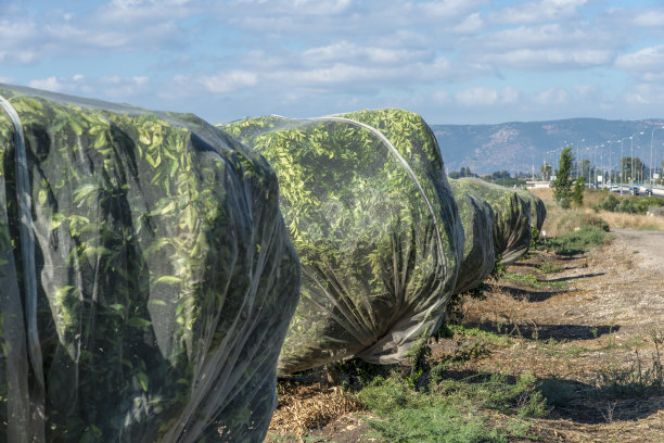 有网覆盖的树木图片下载
