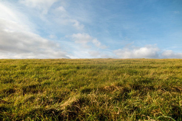 云类型学图片下载