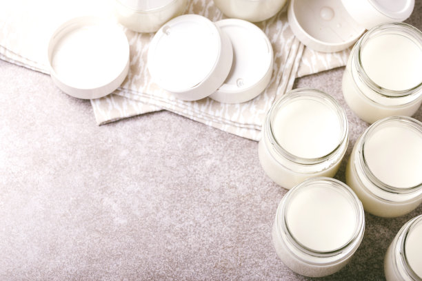 自制希腊酸奶和酸奶机。健康的食物图片下载