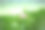 莲花素材图片