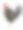 鸡彩色公鸡孤立在白色背景图片下载
