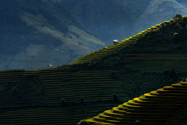 日出时分，越南西北部盐白省木仓寨地区梯田上的稻田图片下载