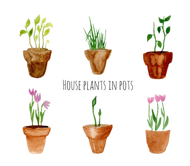 一套手绘室内盆栽图片下载